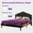 Skya Upholstered Platform Bed-1154884509