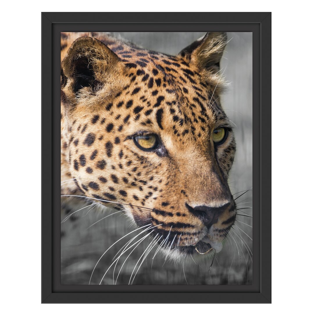 Gerahmtes Wandbild Stalking Leopard