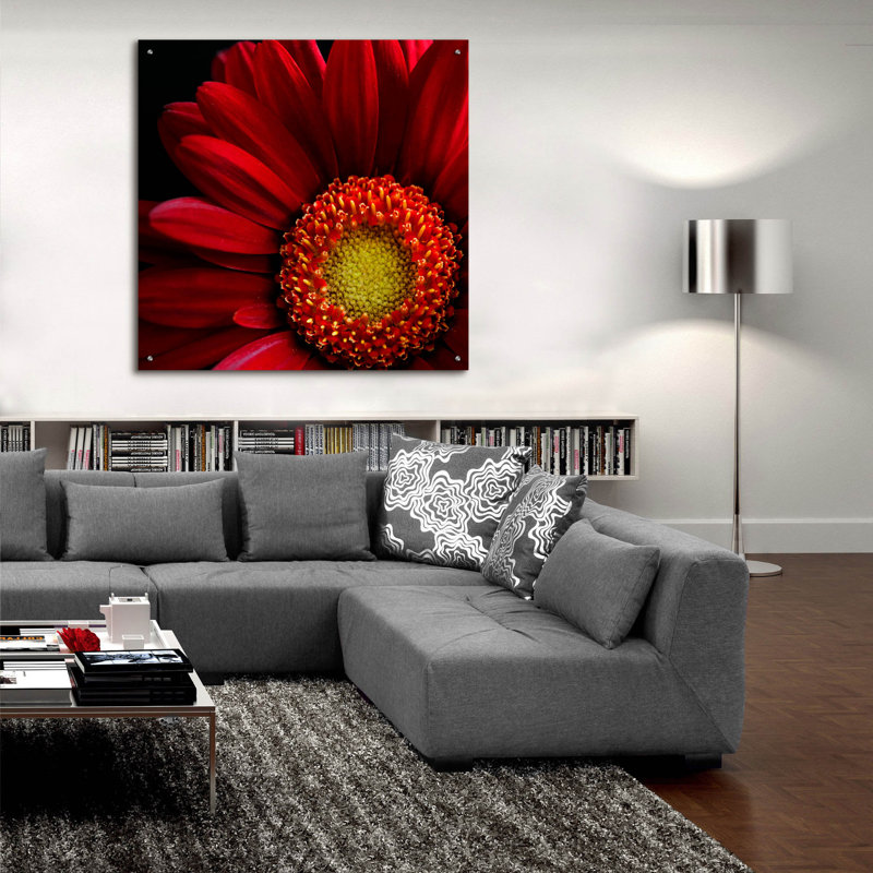 "Red Gerbera On Black 02" par Tom Quartermaine, H 36 po x l 36 po