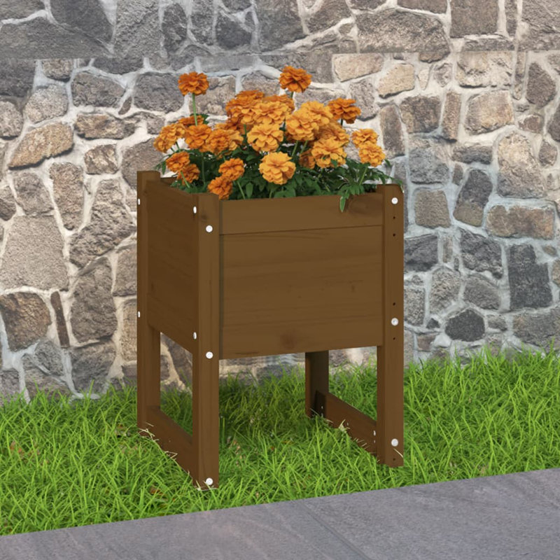 Wood Pot Planter, 52.5cm H x 40cm W x 40cm D, Dark Brown