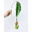 Tige de plante tropicale - 29,5 po-352626435-352626443