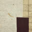 Seoul Triptych Set by Jade Dacay