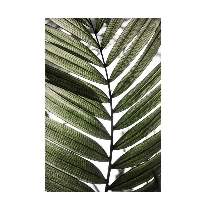 Art sur toile, 24 feuilles de palmier bolognaise, H 30 po x l 47 po