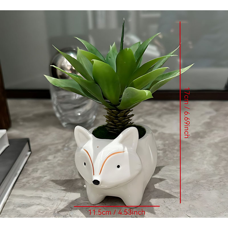 Bonsai 6,69 po