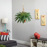 33'' Faux Fern Plant in Wicker Basket