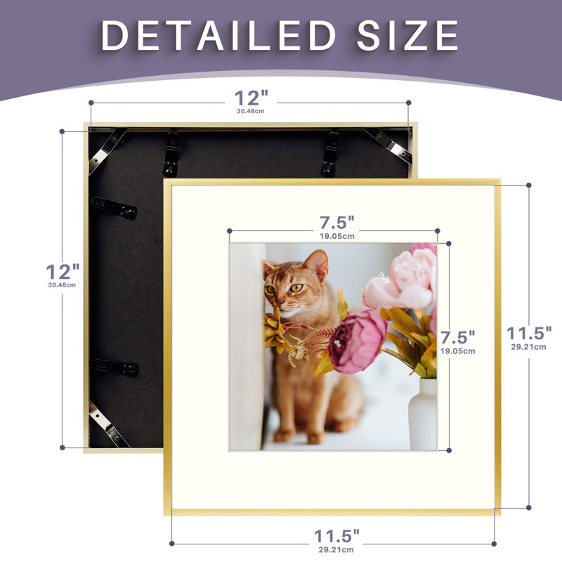 Benonie Metal Matte Picture Frame with Mat, Gold