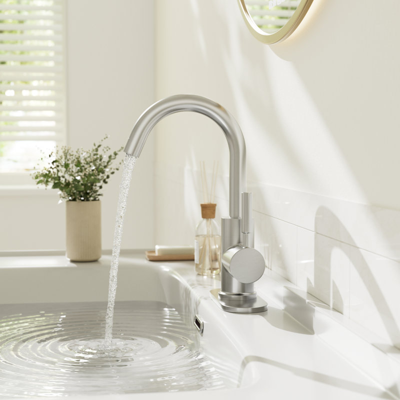 Single-handle Bathroom Faucet with Drain Assembly
