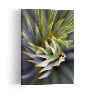 Red Ladybug Green Spiral Colorful Delicate Peaceful Ladybug Nature Plant Wall Art Print 1 Piece Wrapped Canvas Wall Art