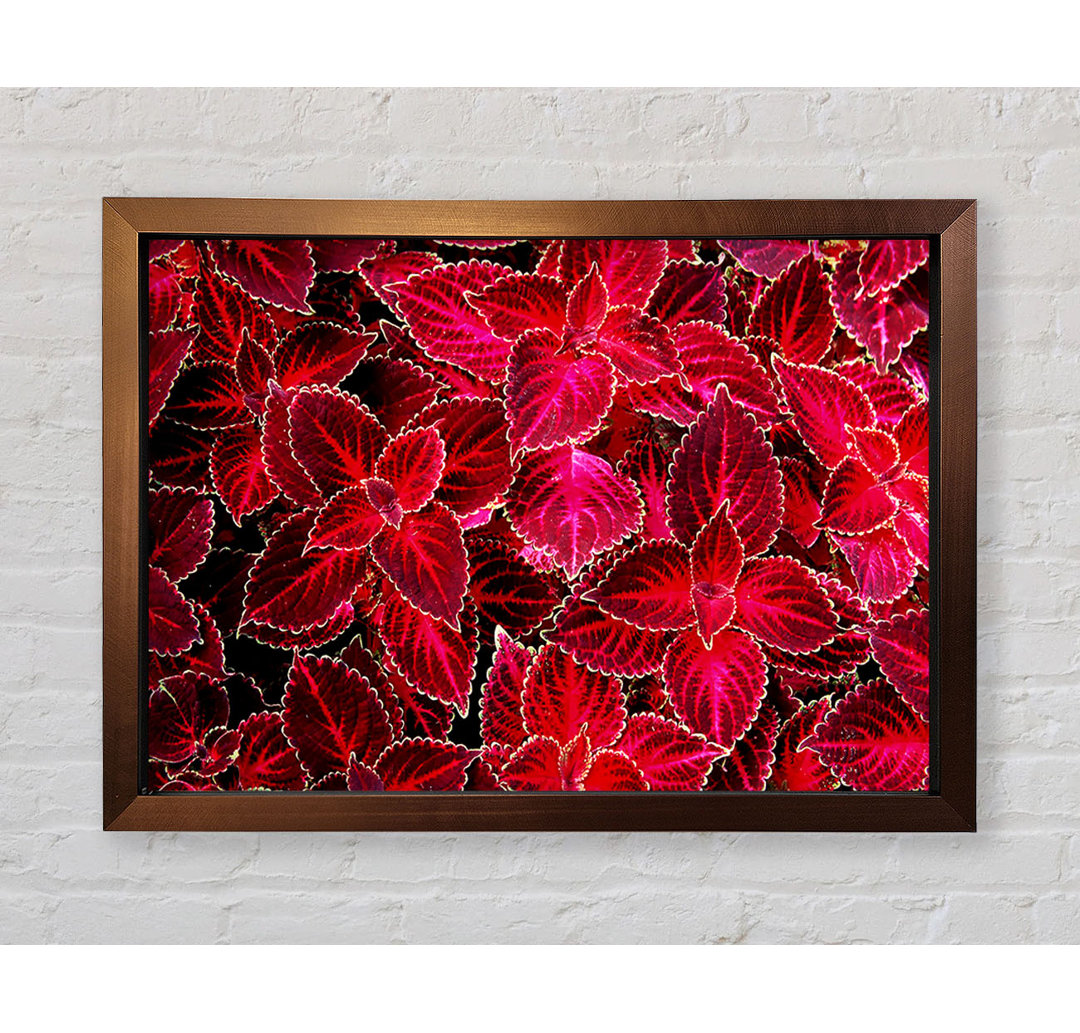 Deep Red Autumn Leaves - Einzelne Bilderrahmen Kunstdrucke