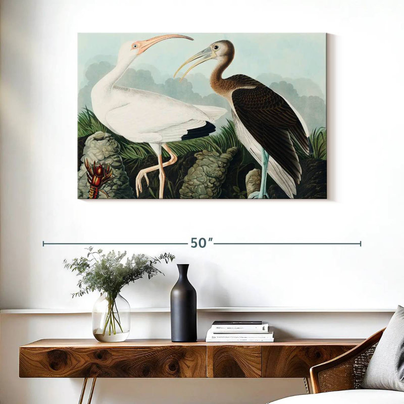 Brampt White Ibis, 26" H x 39" W