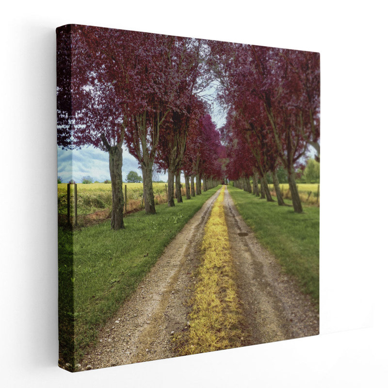 Approach - Canvas Print Wall Art, 12" H x 12" W