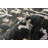 Riayn Indoor Rug-2072452754