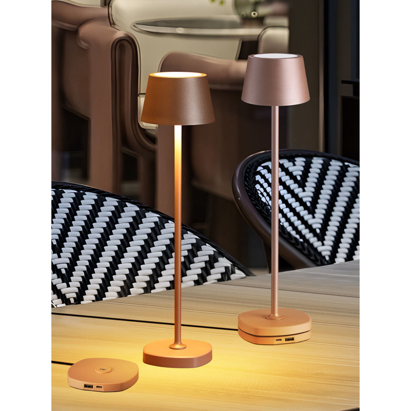 LED Rechargeable Table Lamps with Charging Dock, IP54, Touch Control, Dimmable, 2700K Soft White (Set of 2) - Brown