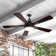Aftin 52'' Ceiling Fan with LED Lights