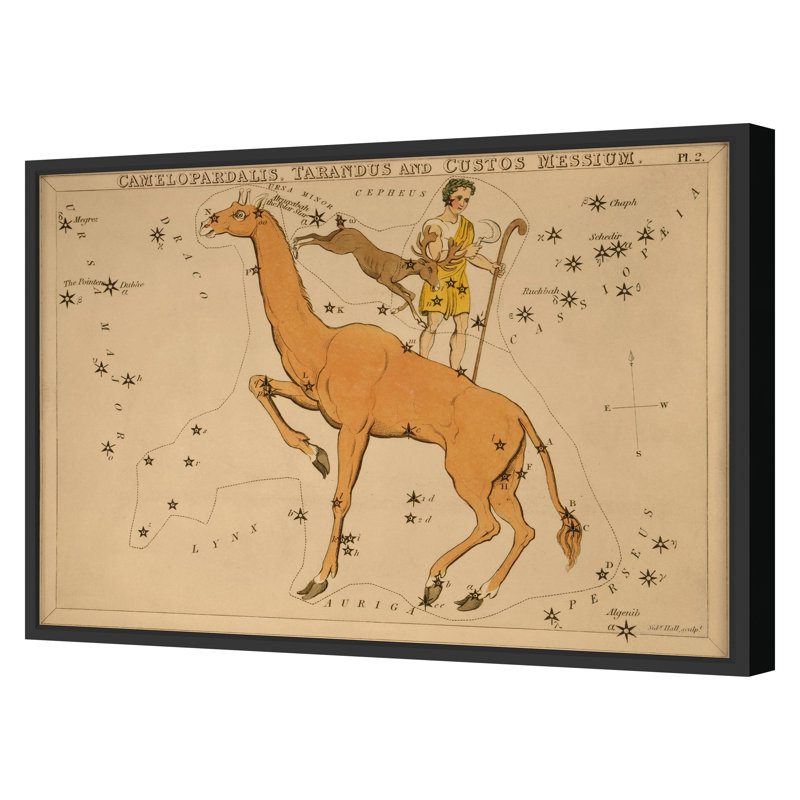 Camelopardalis Print by Grand Archives, 22" H x 31" W, Black Framed