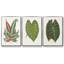 Ensemble de 3 cadres flottants sur toile-11696097-11696098