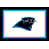 Carolina Panthers