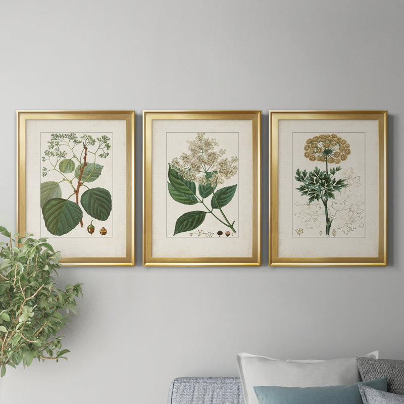 Antique Turpin Botanical IV - Ensemble de 3 peintures sur toile encadrées, H 22,5 po x l 91,5 po x P 1,5 po, Doré