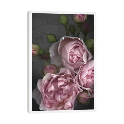Pink Peony by Juliana Loomer - Painting on Canvas