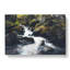 Forest Stream Vol.3 - Wrapped Canvas-61855091