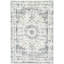 Oriental Area Rug-23806649