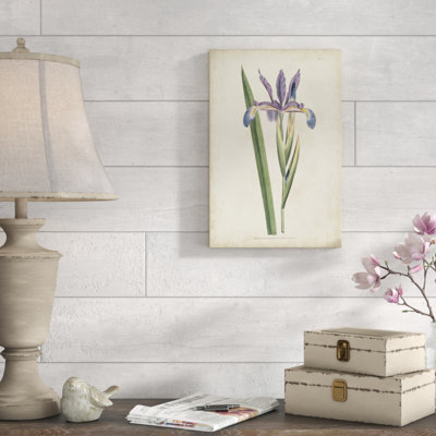 Lavender Curtis Botanicals III - Painting Print