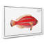 Parrot-Fish by M.E. Bloch - Wrapped Canvas-55323231