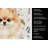 Pomeranian Coffee Bar Kitchen Towel-1168063365