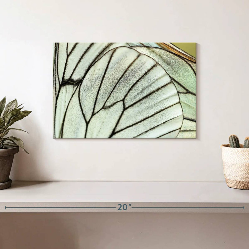 Brampt Simple Butterfly Wings, 8" H x 12" W