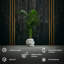 Handmade Pot Planter-52454973