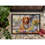Paillasson Retriever-112770217