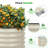 Muffin 16.7" Tall Metal Raised Garden Bed-75187773