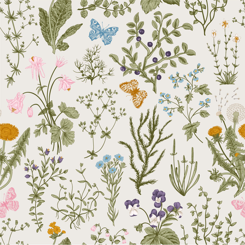 Rouleau de papier peint pelez et collez Athalla Herbs and Wild Flowers, L 16,67 po x l 25 po