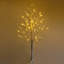 Lighted Christmas Tree