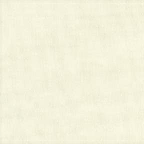 Basics Fabric
