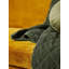 Billie Polyester Bedspread-57806750-57806751