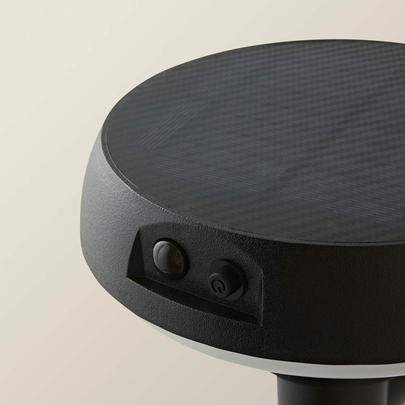 Matte Black 16.5cm H Solar Powered Integrated LED Outdoor Sconce