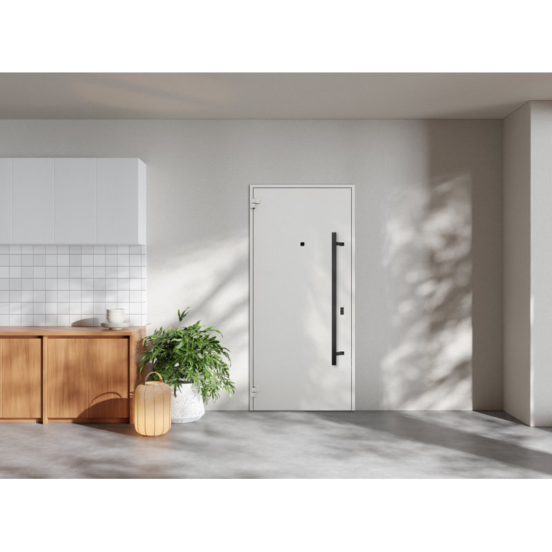 Porte avant en acier pré-suspendue à l'avant / deux 6078 émail noir / entrée en métal peint moderne l 36 po x H 80 po à droite