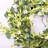 26" Spring Eucalyptus Daisy Front Door Wreath