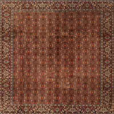 Oriental Indoor Rug