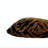 Velvet Zebra Print Throw Pillow Cover-112598623-101081493