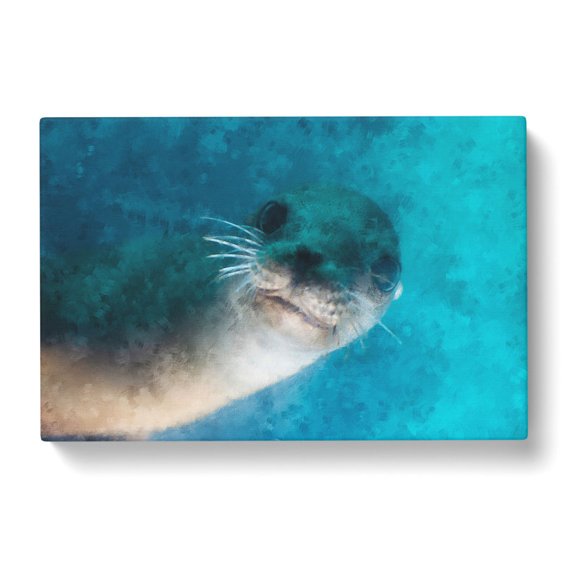 Face Of A Seal - Wrapped Canvas, 40cm H x 60cm W x 3cm D