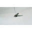 LED Downrod Ceiling Fan-469164299-469164290-469164301