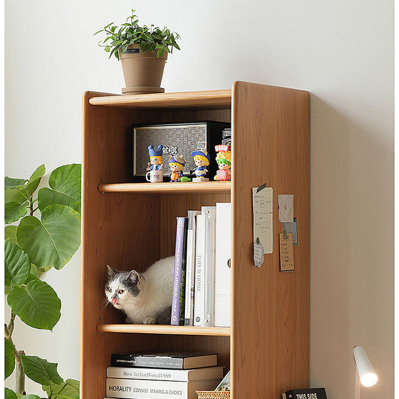 Bibliothèque avec rangement
