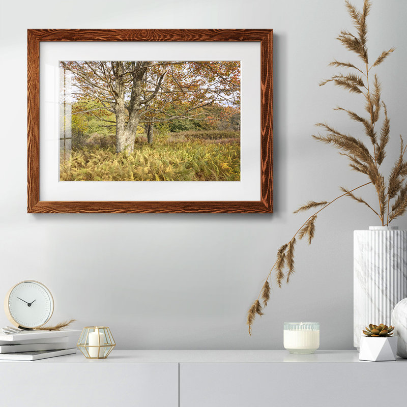 Érable et fougères - impression d'un seul cadre photo, Érable, H 22 po x l 32 po x P 1,5 po