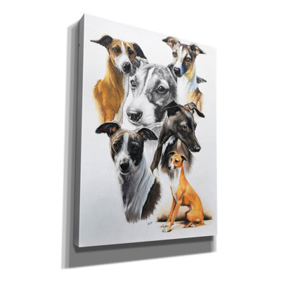 'Italian Greyhound Medley' by Barbara Keith, Canvas Wall Art