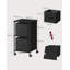 Agnis 38.5cm Wide File Cabinet-117502670