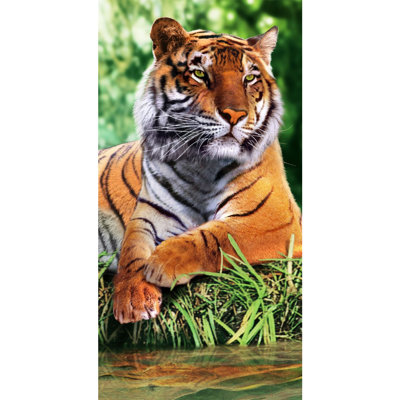 Fikri Lightweight Beach Towel