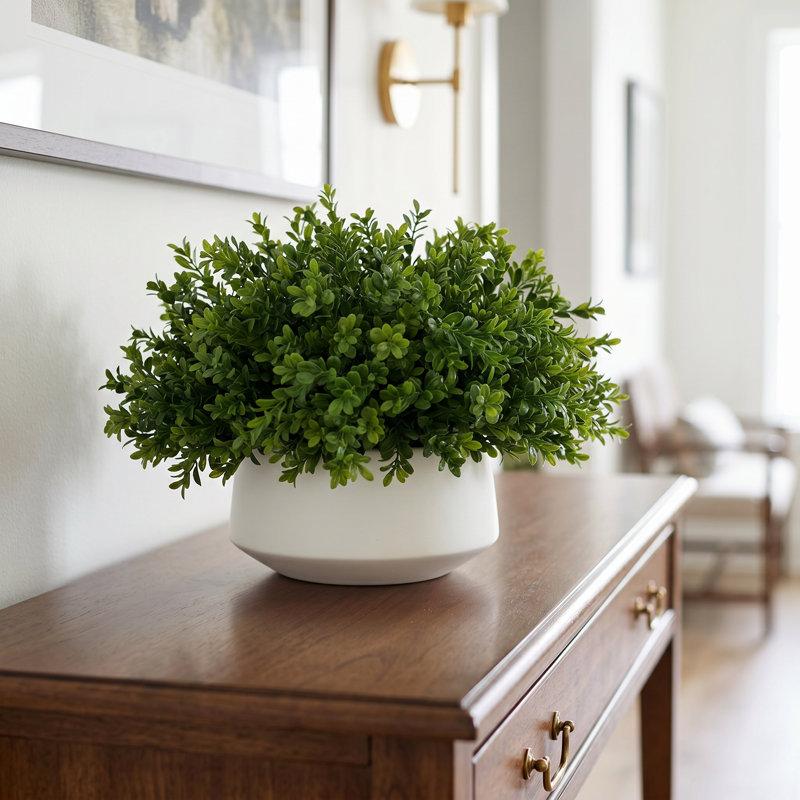 Boxwood Arrangement In A Ceramic Vase, 13"H x 21"W x 21"W