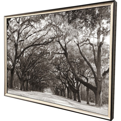 Art encadré sans verre Georgia Stroll